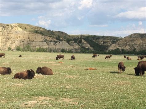 MEJORES Parques nacionales en Medora - Tripadvisor