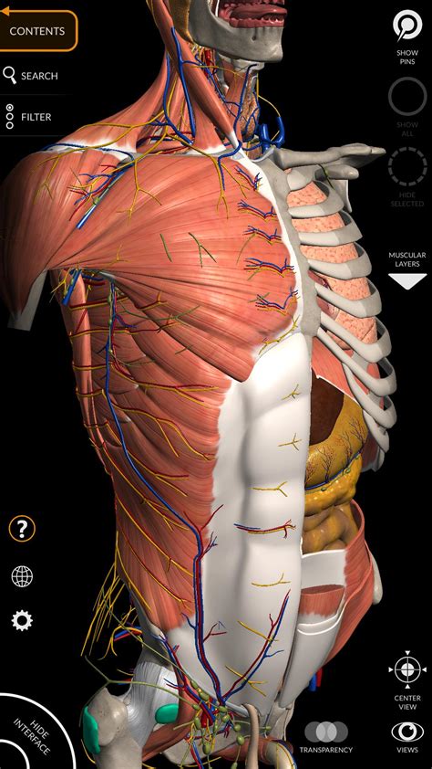 Anatomy 3D Atlas for Android - APK Download