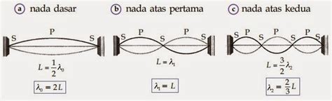 KELAS XII | GELOMBANG BUNYI PADA DAWAI DAN PIPA ORGANA | About Physics