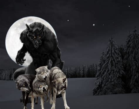 Pack Leader - Werewolves Photo (31769049) - Fanpop