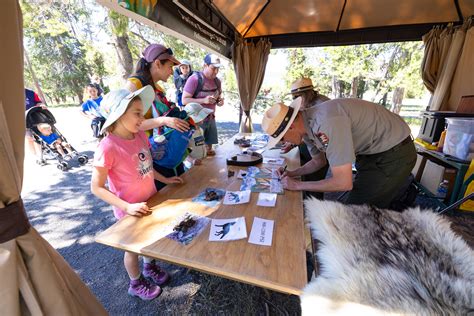 Yellowstone National Park sees 37% visitation increase in 2023 over 2022 | Explore Big Sky