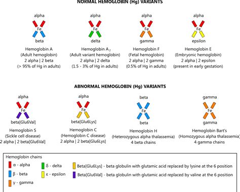 Anemia and hemoglobinopathies