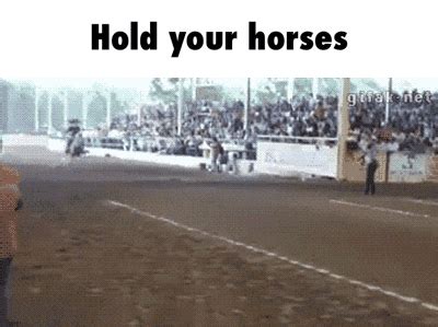 Hold Your Horses GIFs - Find & Share on GIPHY