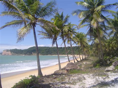 Things to do in Praia da Pipa, State of Rio Grande do Norte (RN): The Best Nightlife