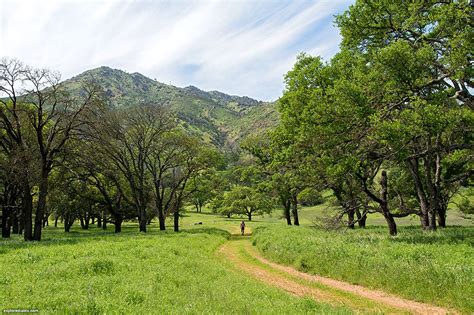 Hiking Mount Diablo | mdia