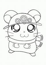BAUZINHO DA WEB  BAÚ Hamtaro Desenhos E Riscos Para Colorir sketch template
