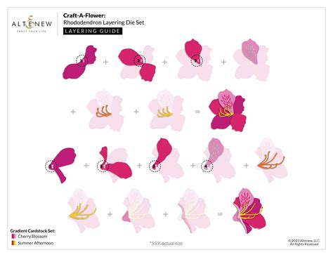 Craft-a-Flower: Rhododendron Layering Die Set – Bumbleberry Papercrafts Ltd