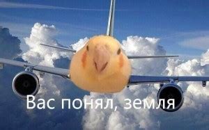 Create meme "cessna 172, cessna, flying a plane" - Pictures - Meme ...