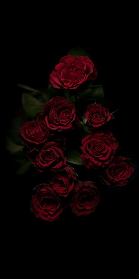 [24+] Goth Aesthetic Wallpaper on WallpaperSafari | Red roses wallpaper ...