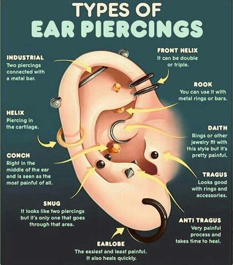 Ear Piercing Guide Chart