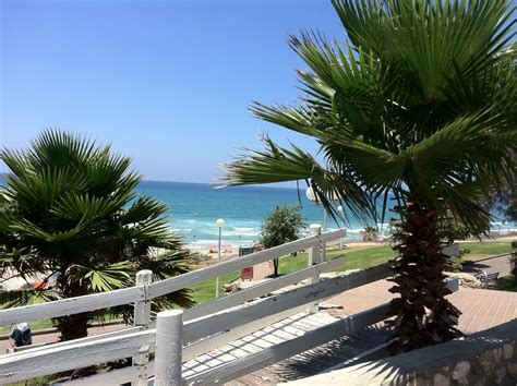 Bat Yam Beach | Bat yam, Beach, Yams