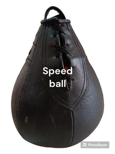 Speed Ball at ₹ 800 | Boxing Accessories in Meerut | ID: 2851954487655