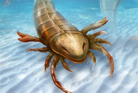 Giant sea scorpion which prowled ancient oceans revealed • The Register