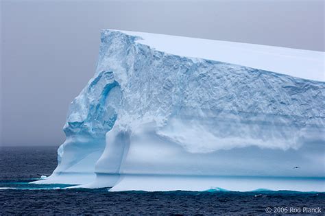 Iceberg(s) along Antarctic Peninsula, Austral Summer | Rod Planck ...