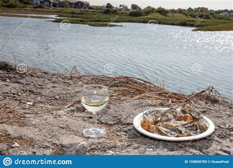 Oysters and Wine Overlooking Bassin Arcachon in France Stock Image ...