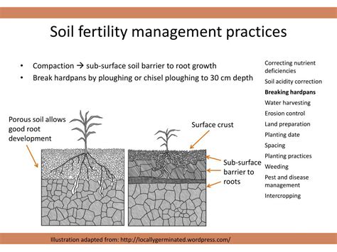 PPT - Soil & soil fertility PowerPoint Presentation, free download - ID ...