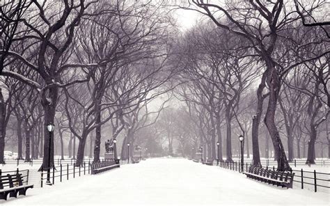 Central Park Snow Wallpapers - Top Free Central Park Snow Backgrounds ...