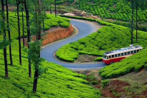 Places to See in Munnar - Kerala Tourism Mart