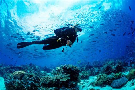 Everything You Must Know About Scuba Diving in Maldives