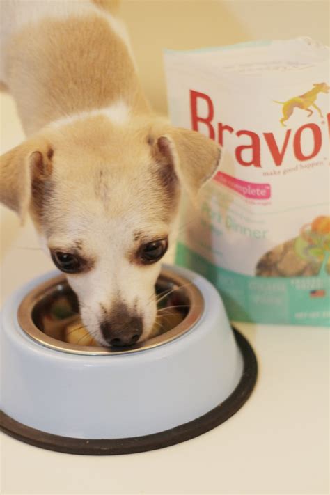 HAPPYHAZEL: Bravo Raw Dog Food Homestyle Complete Dinners Review