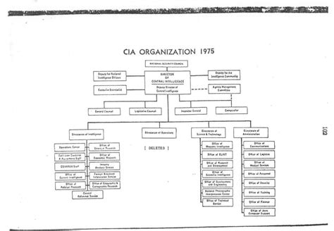 Cia Hierarchy Chart