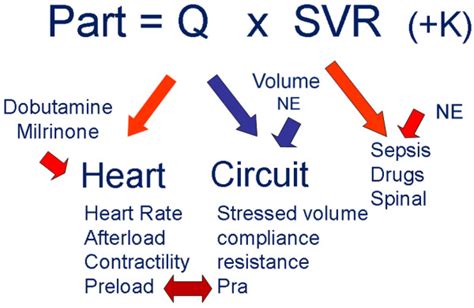 Approach to management of hypotension. Blood pressure is determined by ...