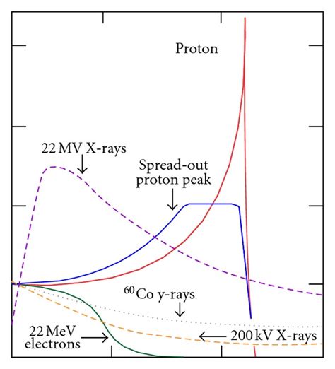 Bragg peak and Spread-Out Bragg Peak (SOBP) for a proton beam in... | Download Scientific Diagram