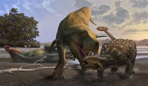 Tyrannosaurus VS Ankylosaurus Paleoart by Sergey Krasovskiy ...