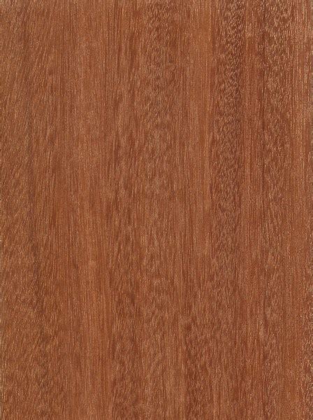 Santos Mahogany | The Wood Database (Hardwood)