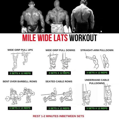 Wide Lats Workouts step by step tutorial | Step workout, Lat workout ...