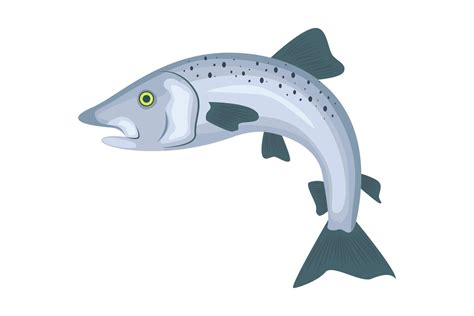 salmon fish vector illustration 9571948 Vector Art at Vecteezy