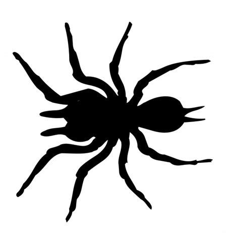 Drawing Spider On White Free Stock Photo - Public Domain Pictures