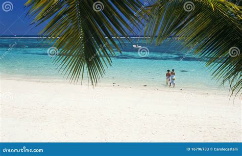 Trou Aux Biches Beach Mauritius Island Stock Image - Image of trou, biches: 16796733