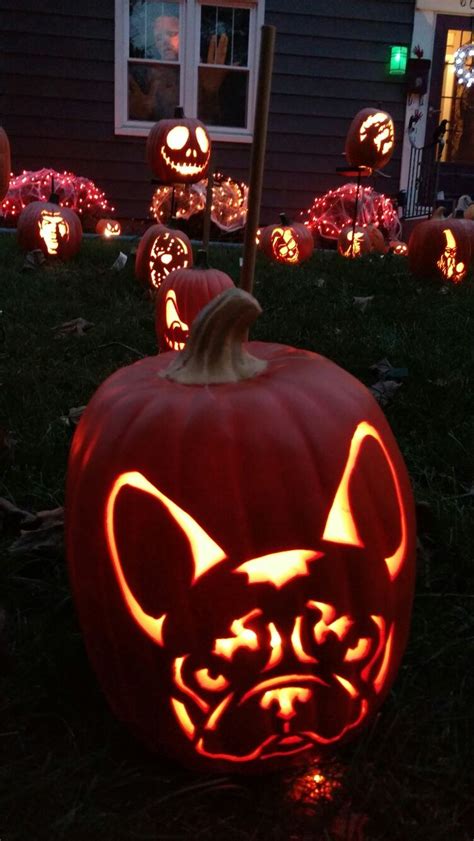 French bulldog pumpkin | Pumpkin, Pumpkin carving, Halloween