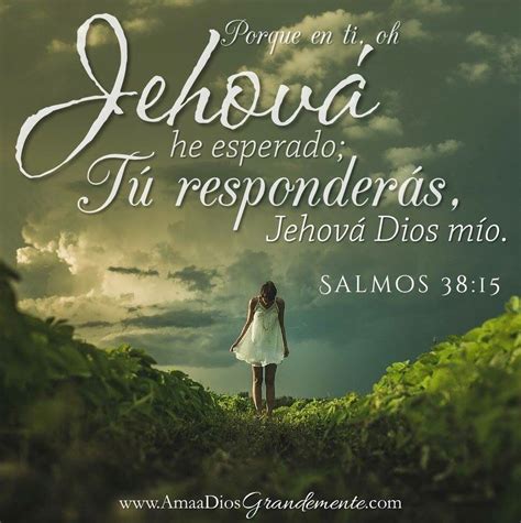 Jehova en ti he esperado; Tu responderás. #CreciendoenOracion #EsperarenDios #promesasyfuturo # ...