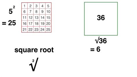 How to find the square root of a number - YouTube