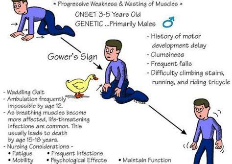 10 Symptoms Of Muscular Dystrophy ideas | muscular dystrophies, genetic diseases, keeping healthy