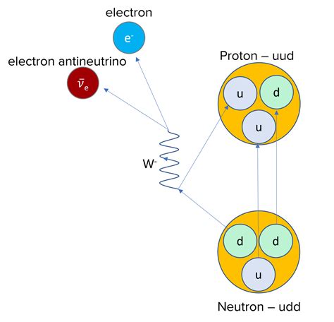 Quarks Questions and Revision | MME