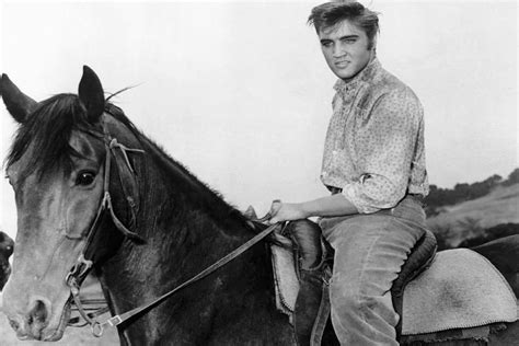 Elvis Presley & His Love For Horses in 2022 | Elvis, Elvis presley, Horses