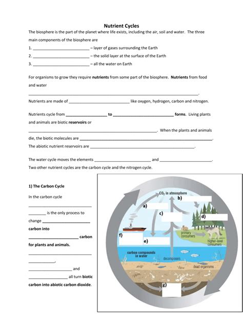 Nutrient Cycles