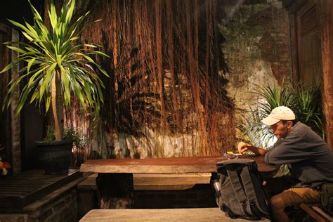 GAYO Coffee: The Cafe Has Epic Tree Inside - Penang Foodie