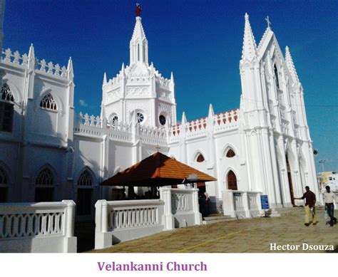 velankanni-church - Indian Yatra Travel