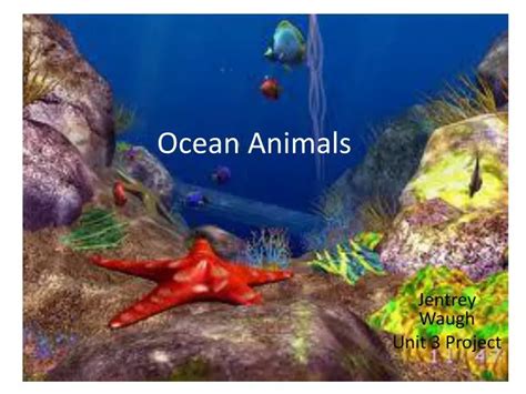 PPT - Ocean Animals PowerPoint Presentation, free download - ID:2005307