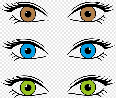 Color de ojos dibujo, ojos, azul, marrón, cara png | PNGWing