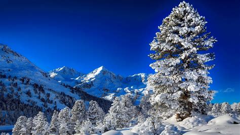 hills, early, beautiful, trees, sky, winter, valley, mountain, snow, village, branches ...