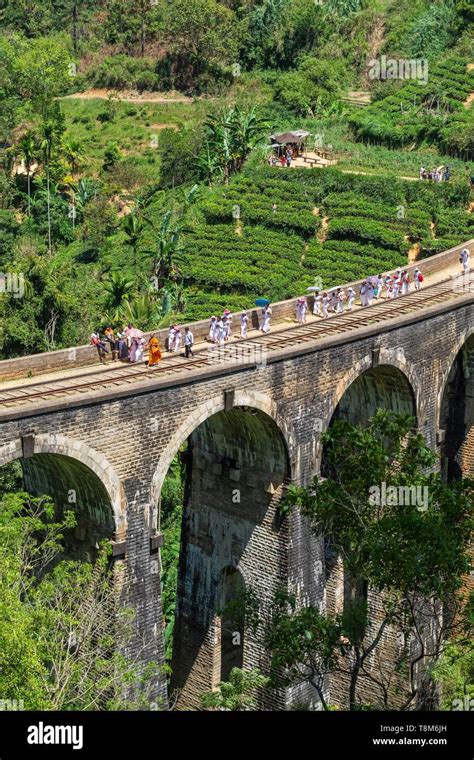 Sri Lanka, Uva province, Demodara (surroundings of Ella), the Nine ...