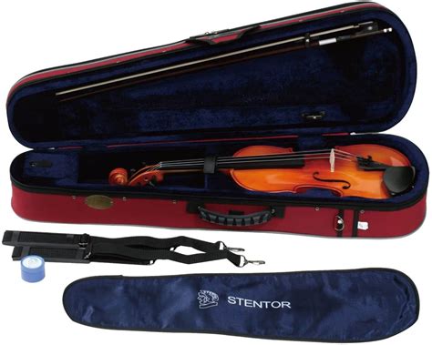 10 Best Violin Brands In 2024: Comprehensive Guide