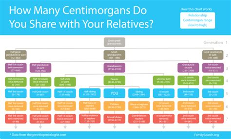 Centimorgan Chart: Understanding Your DNA Results • FamilySearch