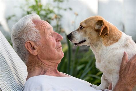 Top 10 Dog Breeds for Seniors