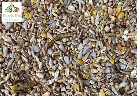 20kg ROBIN SONGBIRD WILD BIRD FOOD FEED SEED MIX WITH MEALWORMS ALL ...